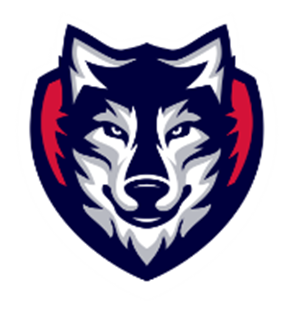 HC Plzeň Wolves